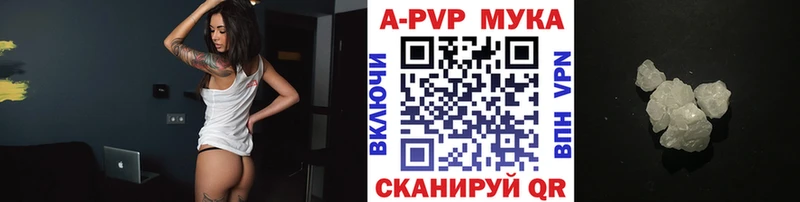 A PVP СК КРИС  Сыктывкар 