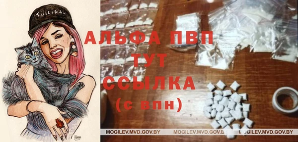 a pvp Белокуриха