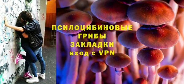 a pvp Белокуриха